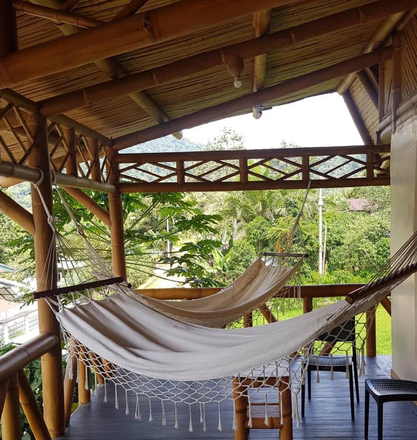 Golden Tree Mindo Eco-Lodge Exterior photo